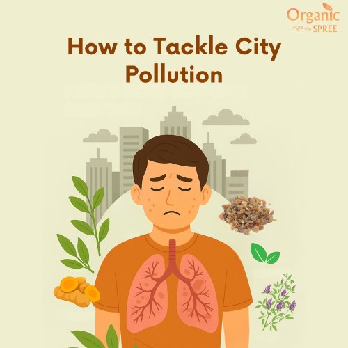 Protect Your Lungs from Pollution in Metro Cities