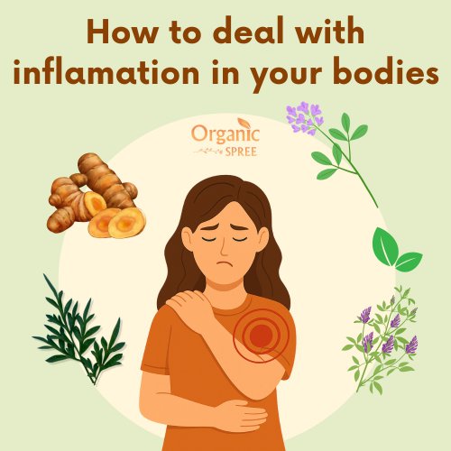 Managing Inflammation Naturally